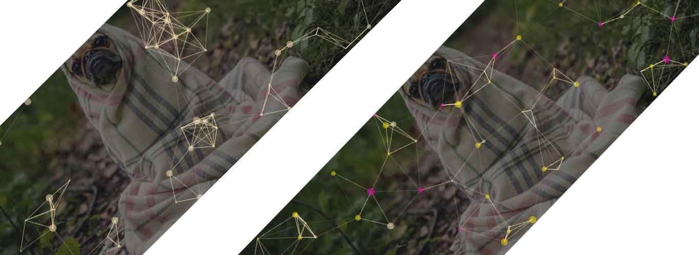 A full customization of particlejs